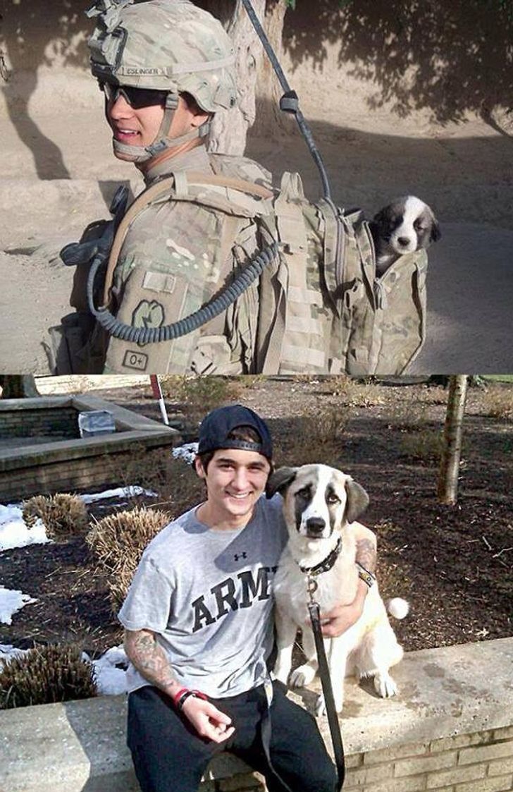 f3d5535919ba4a1b877d3c93f4