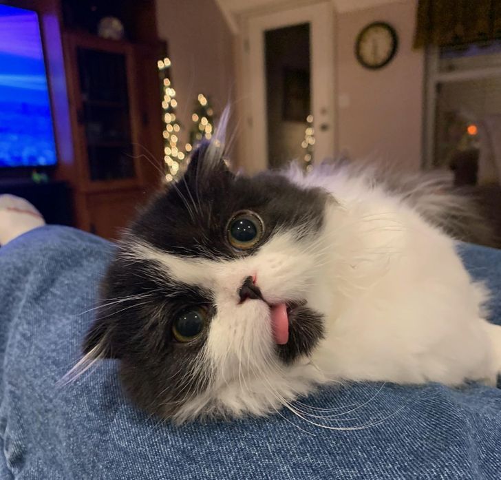 f3e1585c47826cd95eb07519c5