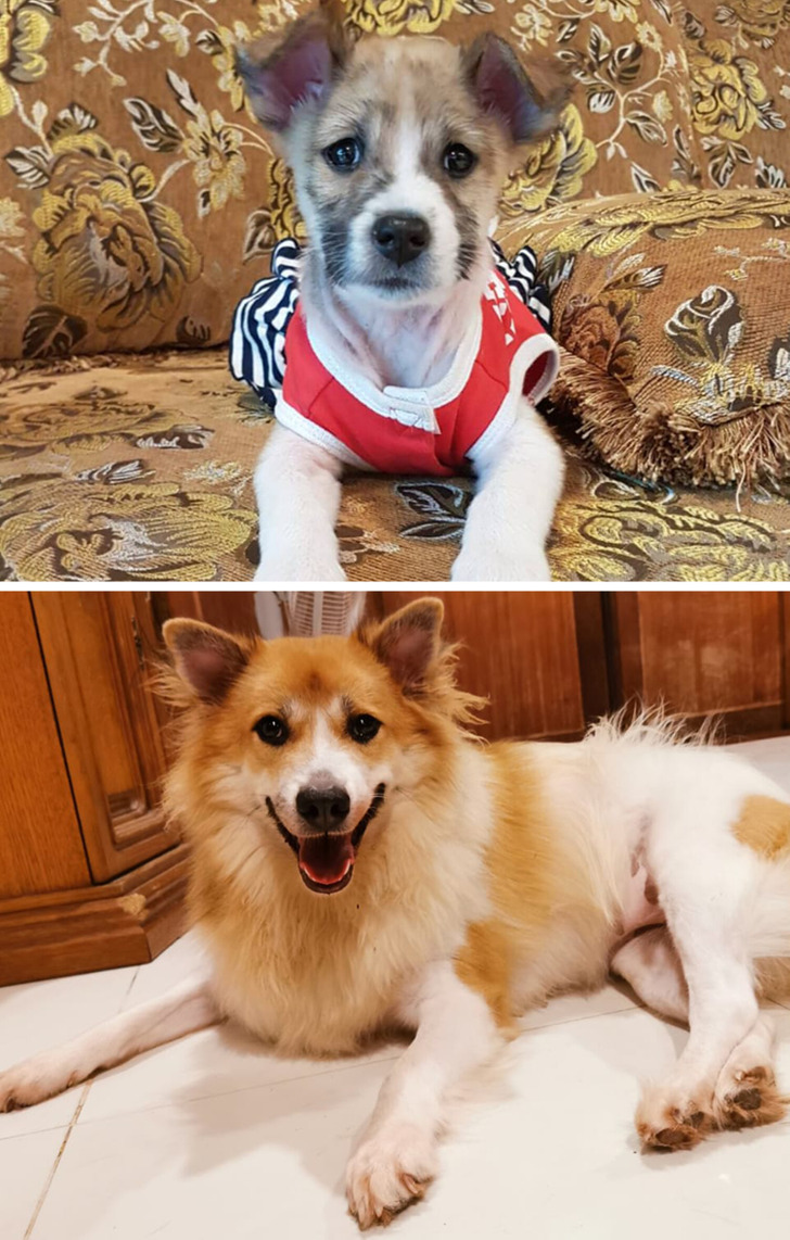 f3e91e57ac998b757bfb4787f9