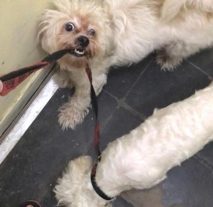 f3ea4b59be88773c0686ef833c