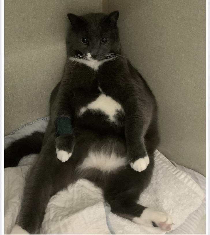 f3ef7a560eaaf8bbe819bbfbcf