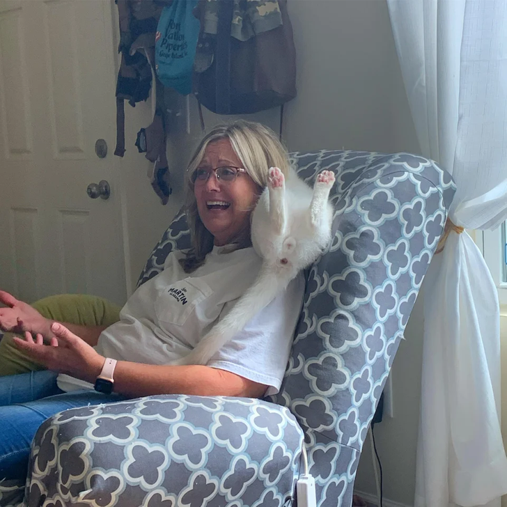 f3f43e5420a73276cc9a880b51