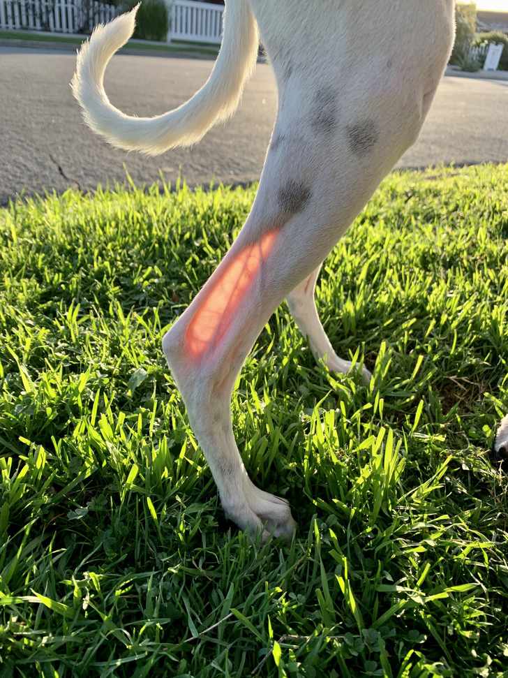 f3f973597b94e559d33a6d50f3