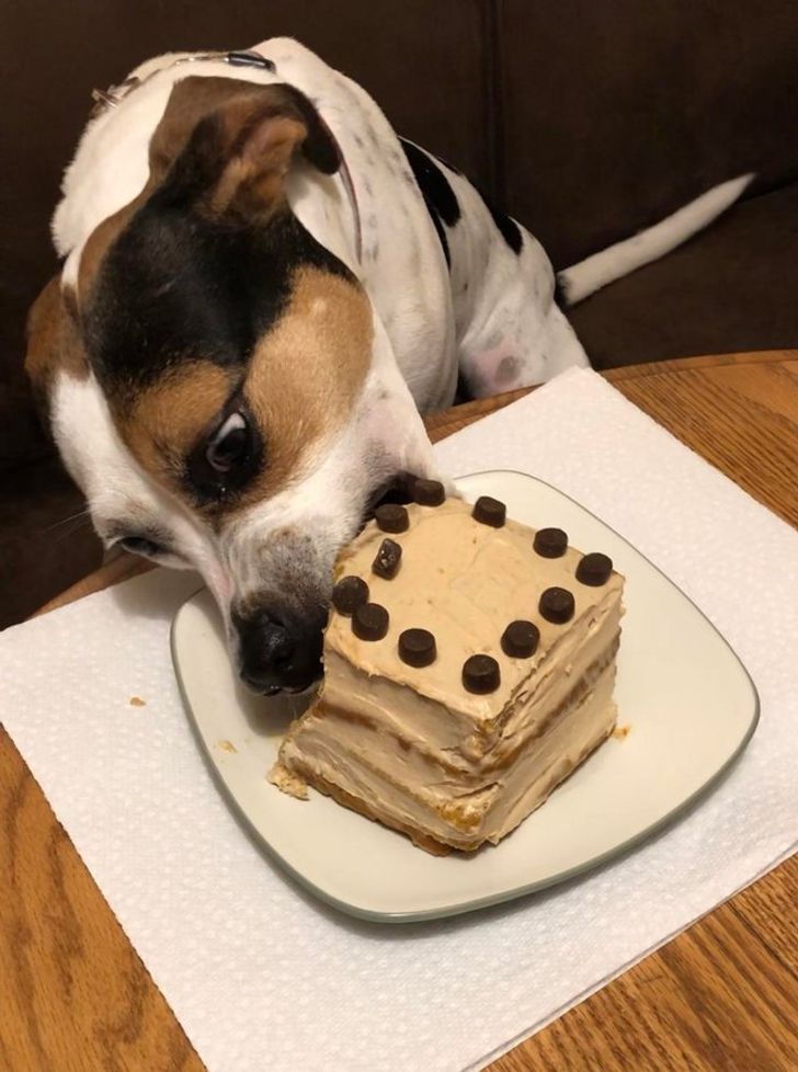 f3faf857d4b8d00a5246da8a80