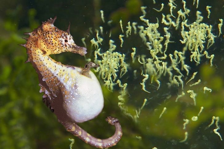 f3fbc15568b84e90bc9d120eb7