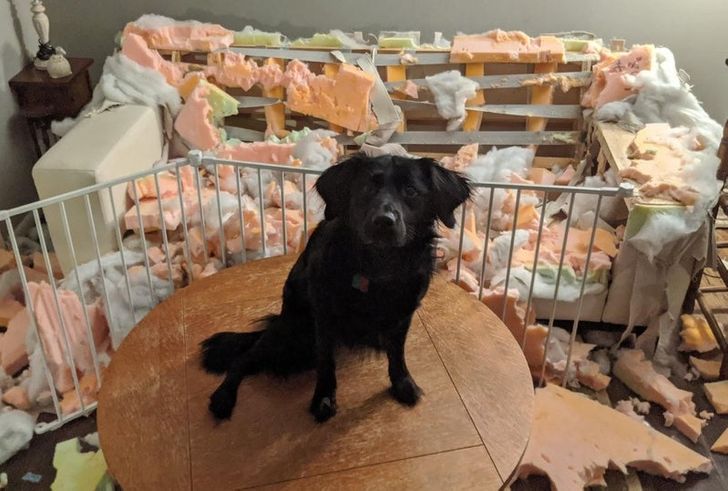 f3ff1d5b89afaaa6def791a3ca