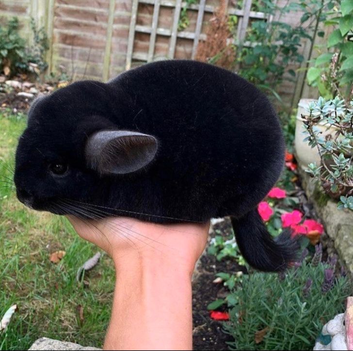 f4047e526aa41344e72a685956