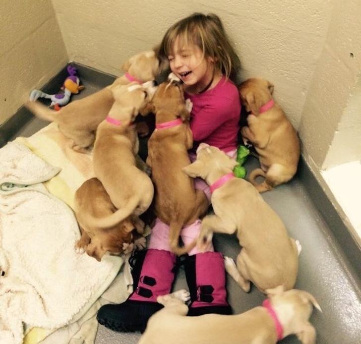 f40a9c5f448243df67b4a36aee