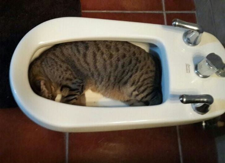 f4116d5e17a1742981fe332296