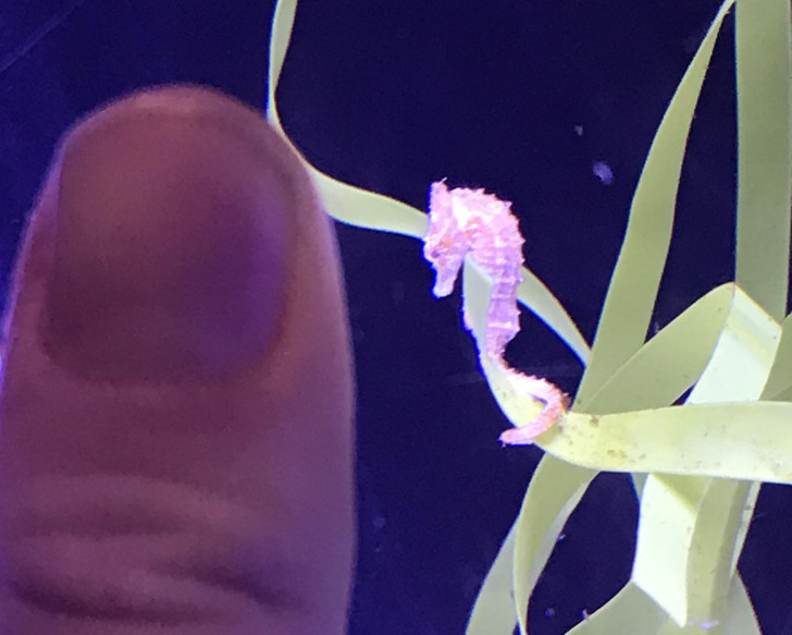 f414dc54aaada84723739f74dc