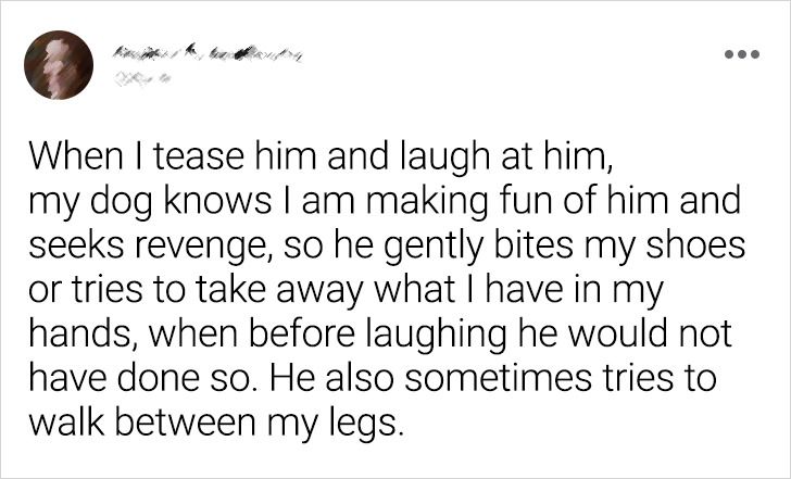 f417f45d44a5b5651523375984