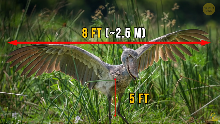 f41cfa5d7fbdcbd82acd8aaefd