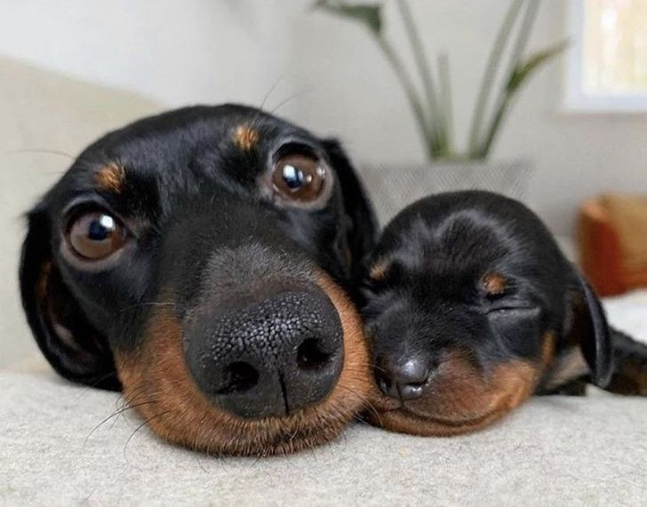 f41d1b58f0b43a46b3a26616de