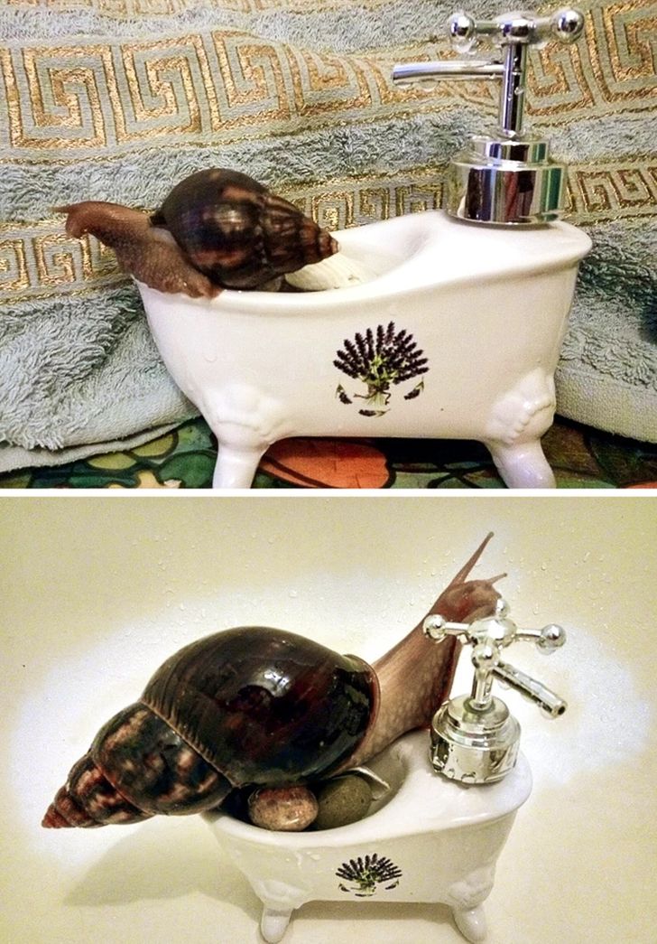 f41e565307b561dfd16238d74c