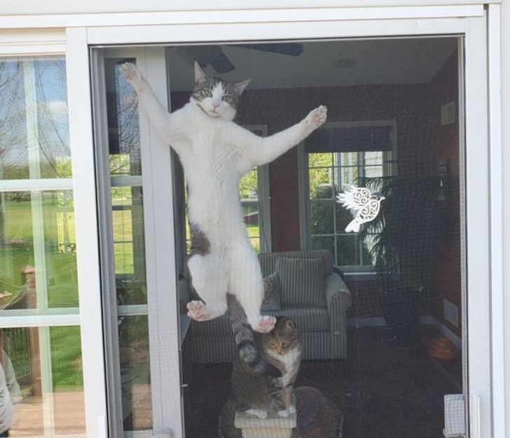 f41f345e7b832fca48f61d6cd2