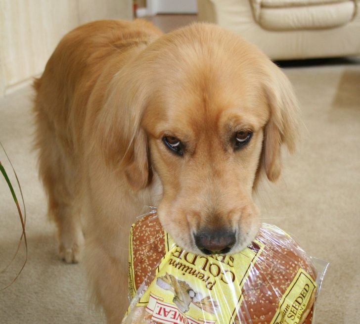 f4216f5622be9bb44a03b05b1a