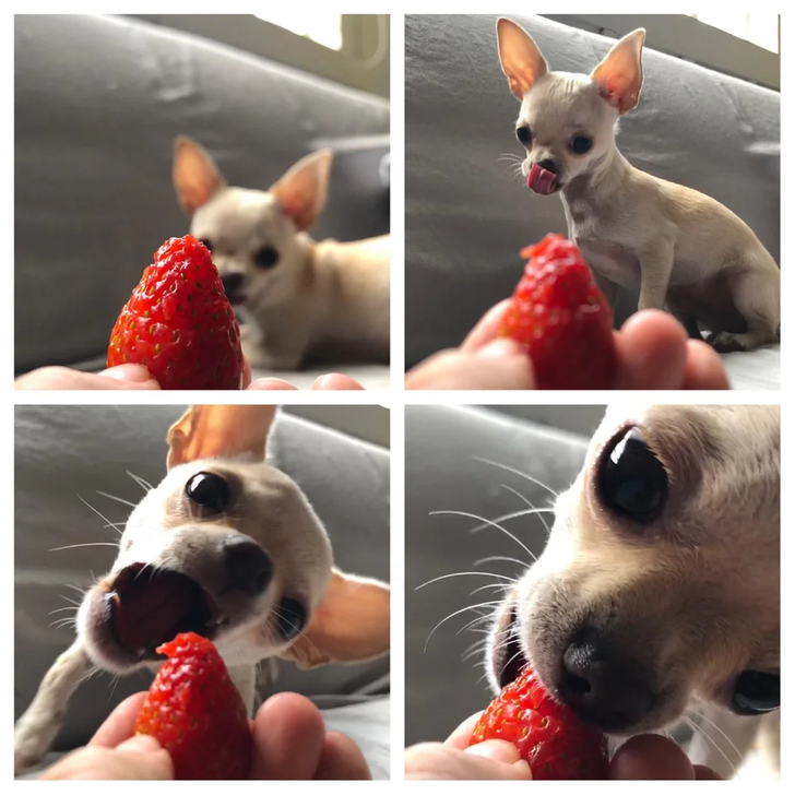 f4217351e79b850eed36494435