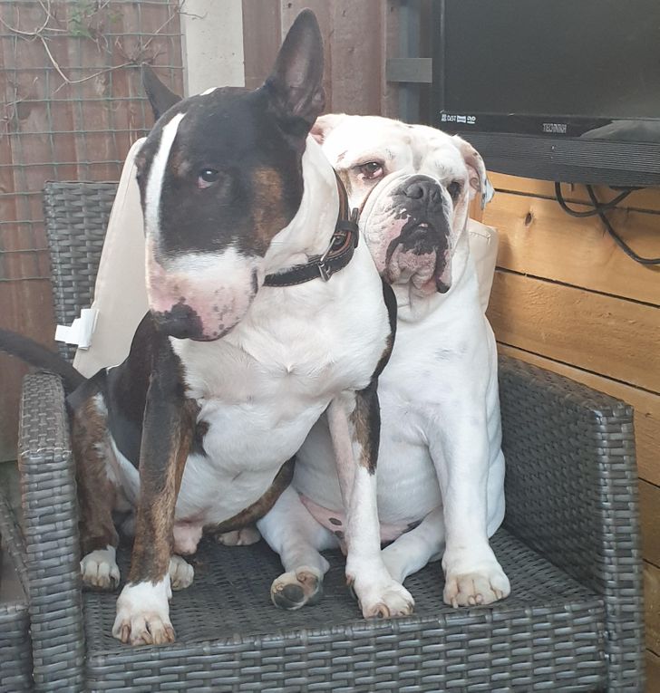 f4223856779e966aa45db8dd7f