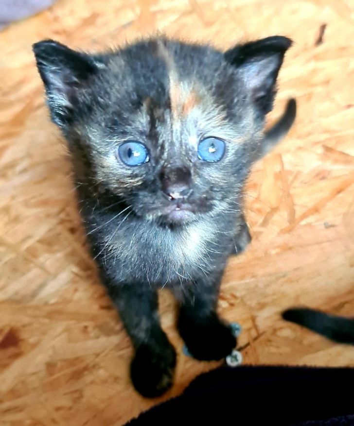 f4230151779c301e776be355d6