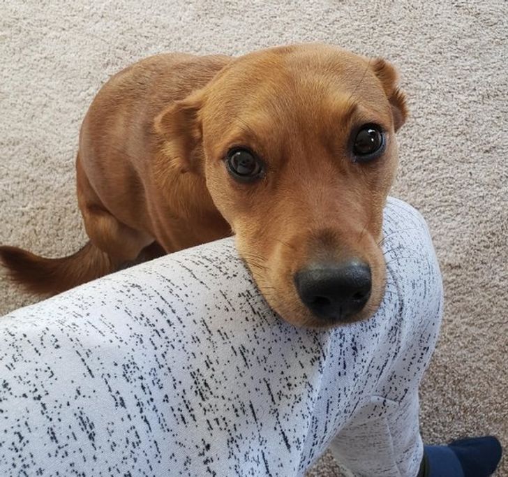 f423155736a15f16b27bab5f60