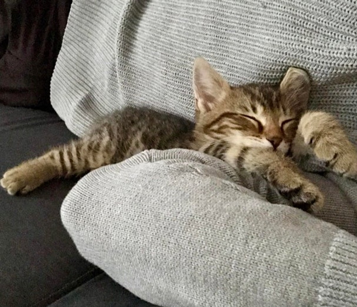 f429a654318d4224d1d9463438