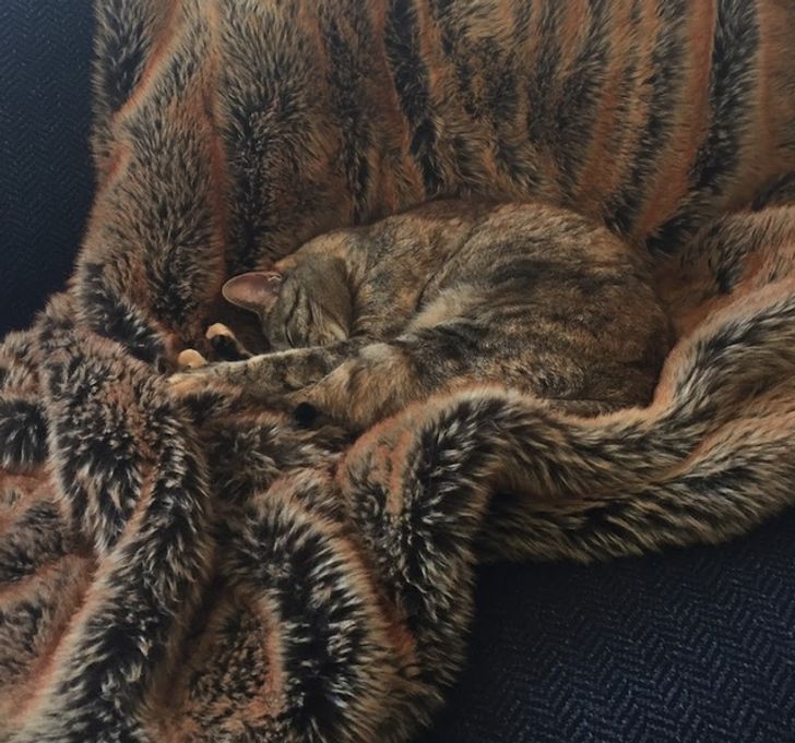 f4349f5989a86d89bdb9c4f39a