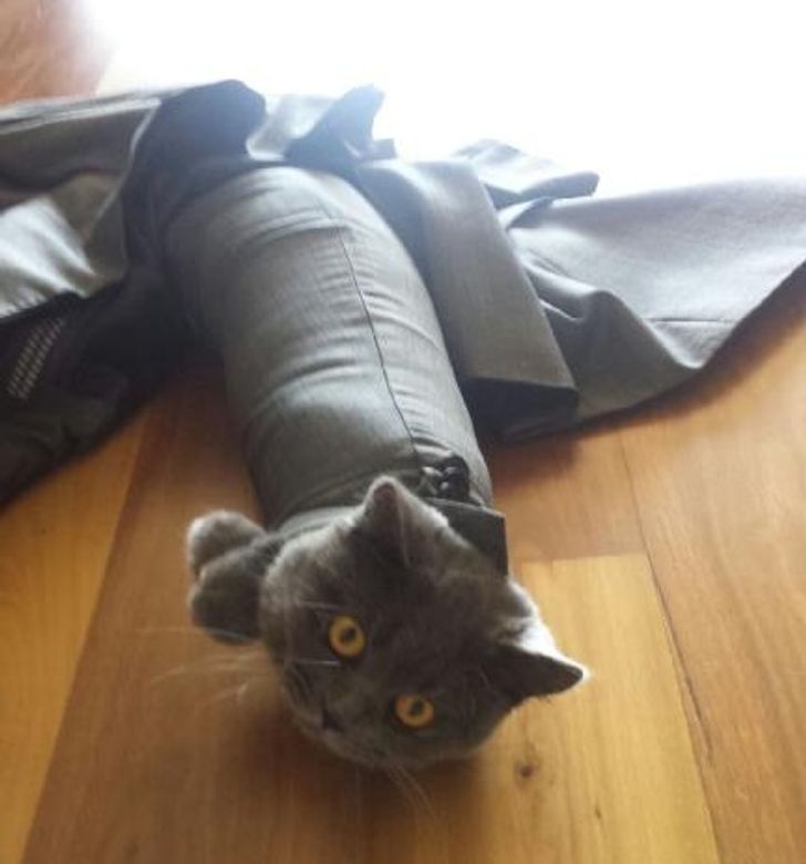 f439b0515e887c31af14068852