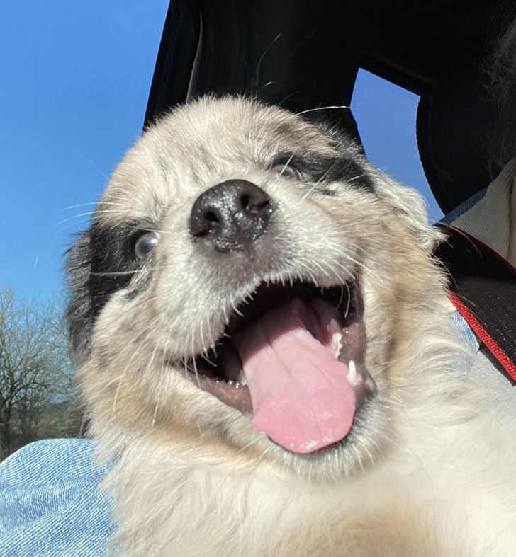 f43e2256afbe35e9fe41dca3aa