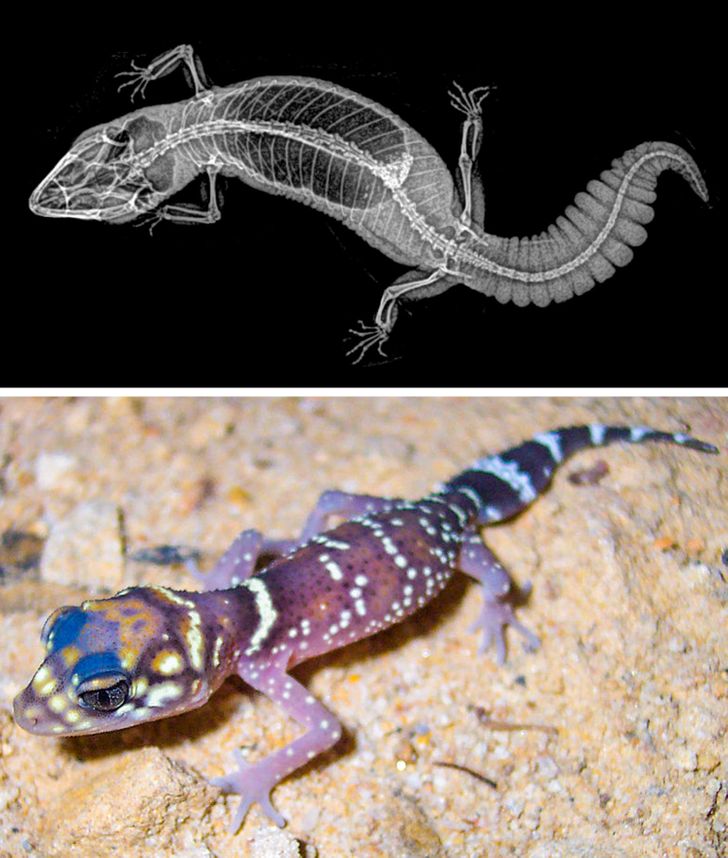 f441865d228374bfc15ee0ee8f