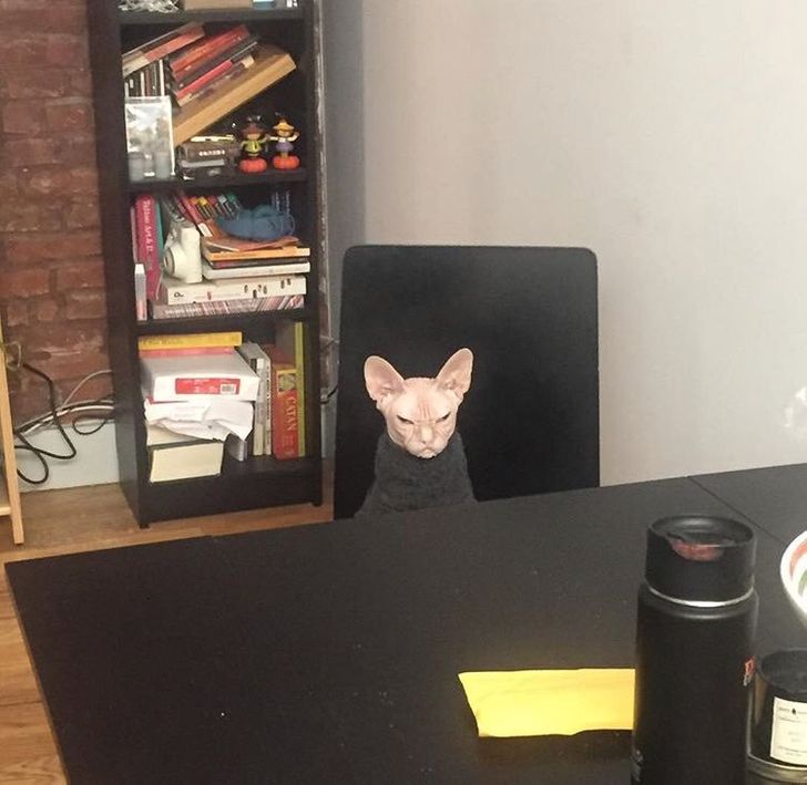 f443535008a2a73a4f48c40735