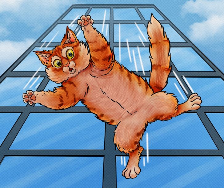 f4443959a9b29f1469e743723c