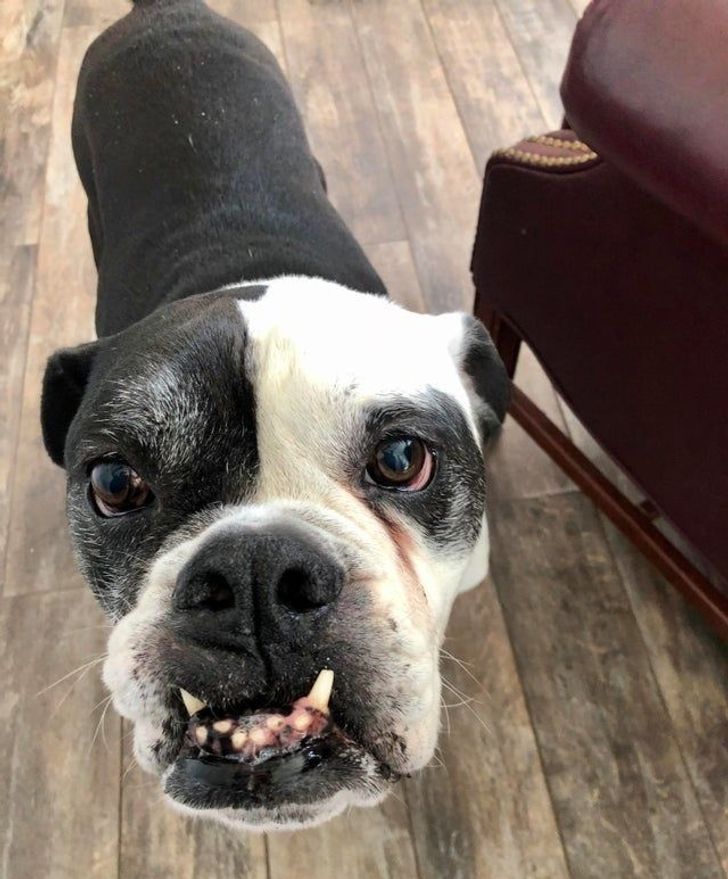 f45a655cf7bdc3c243fbfa7215