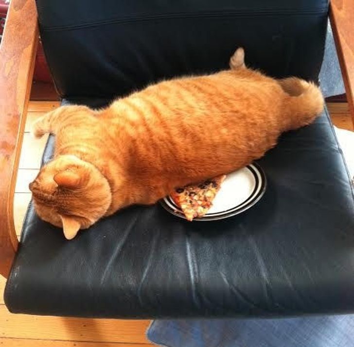 f47675533ab417f66292638a87