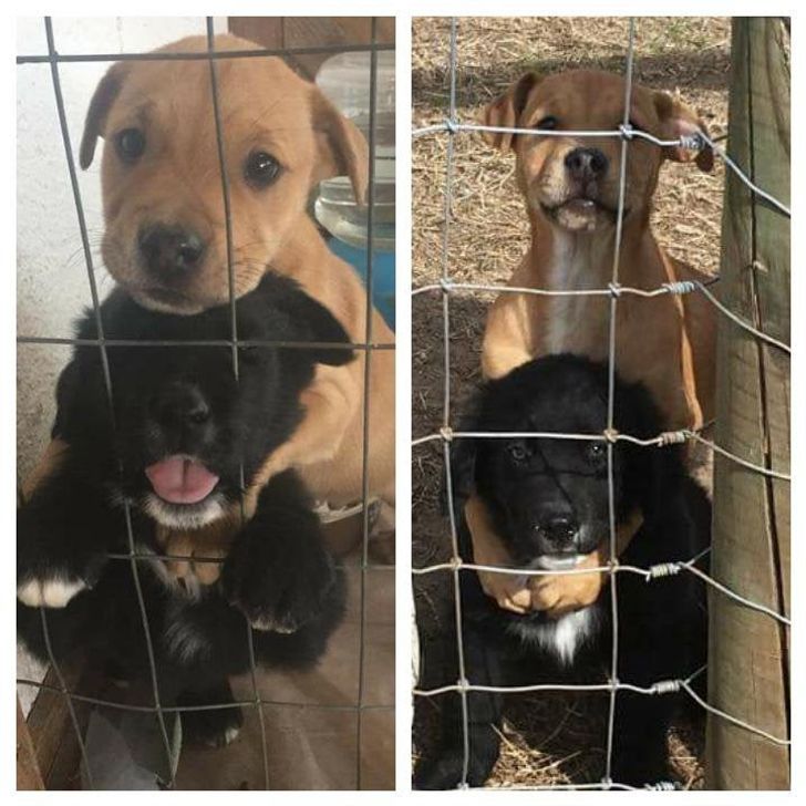 f47da95869bfe80a7adcdd203e