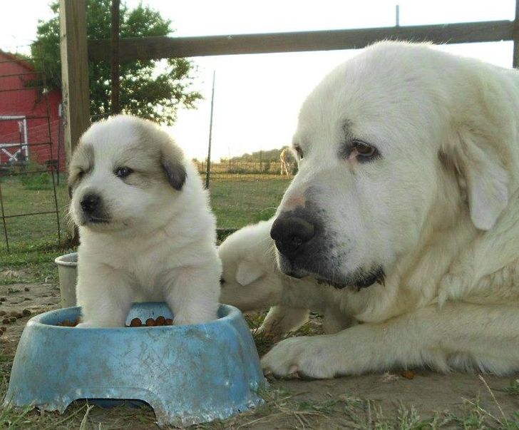 f4806d55bd8ec742c1049af85d