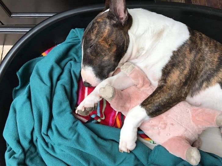 f482f25943b4bed40486c690d3