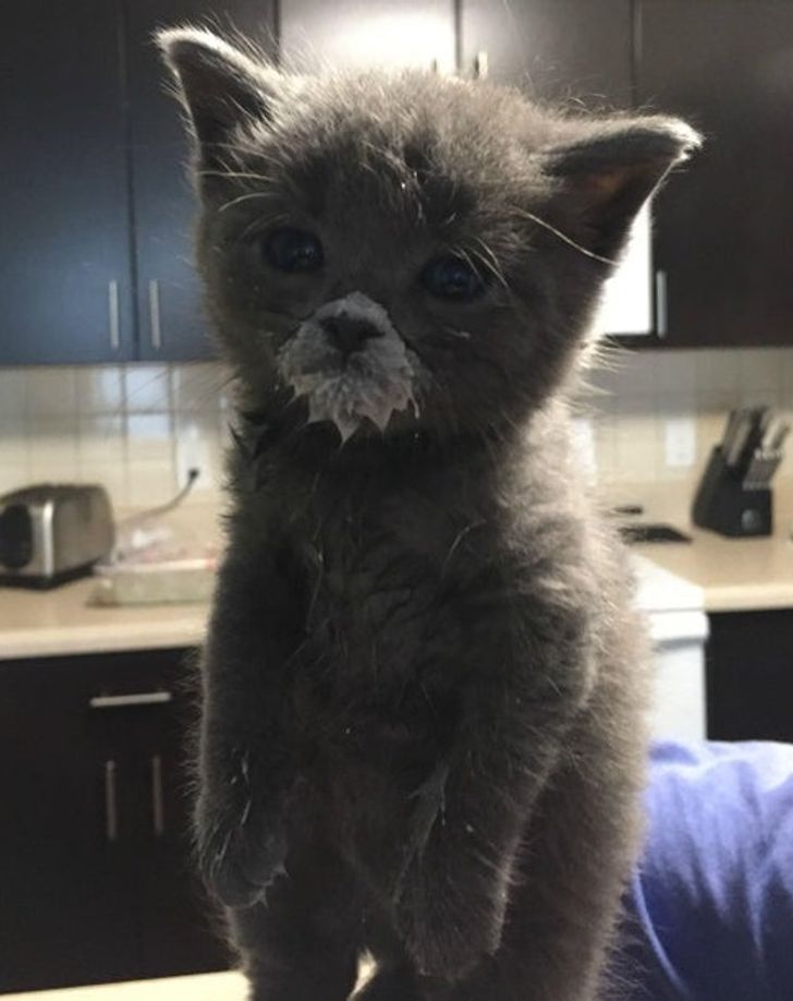 f48391571492718b782b4281f7