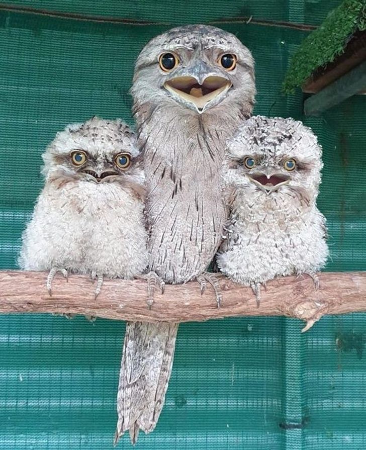 f492ac57e59f473c22fd20f8bd