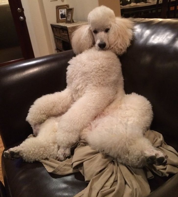 f493fb5977bff77ef9d8169480