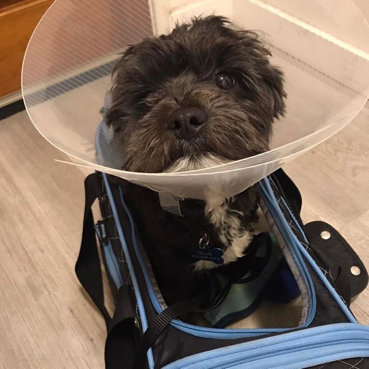 f4956453aabede6fc62caa7ff1