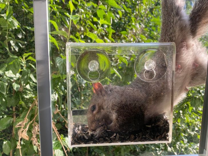 f4a61154708efa60082697bfad