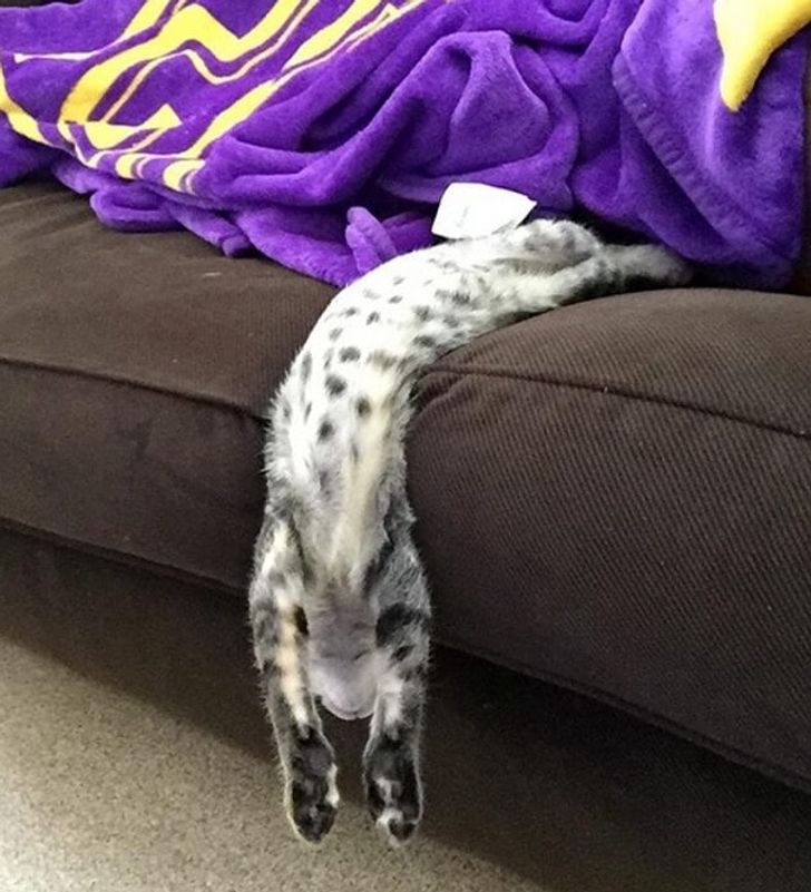 f4ac675db5a2cf635ce9d9cb83