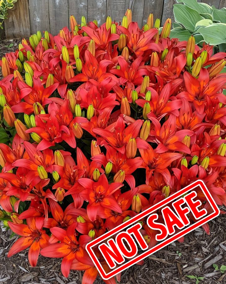 f4b12c5f9e832df1acabf53d3c