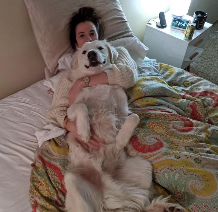 f4b17555478a96fe2d0519ffe2