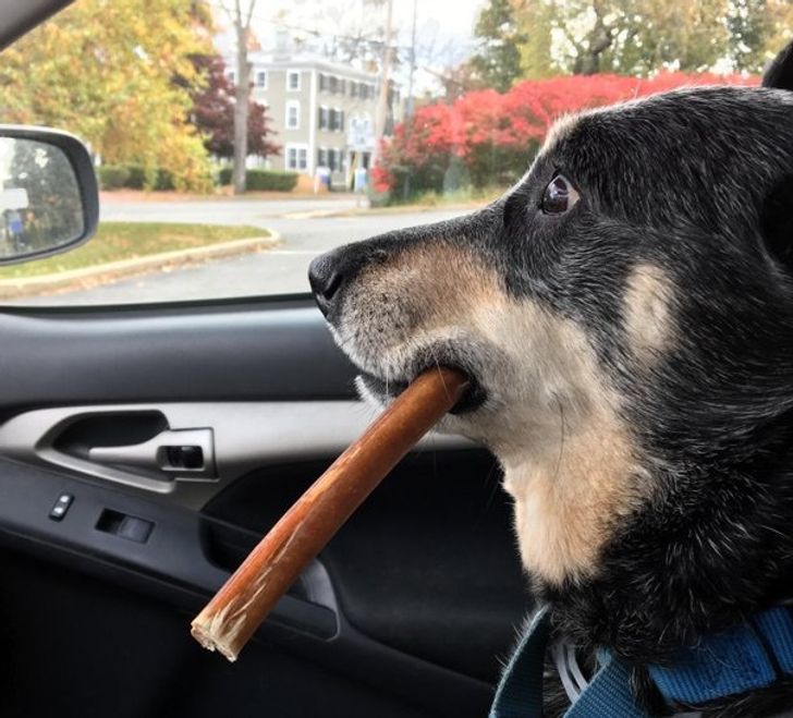 f4b1fd52dd925969d7ece488a0