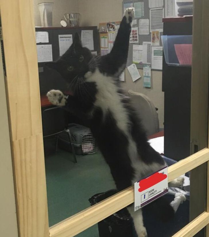 f4bef15a96bde23678bffb9ba9