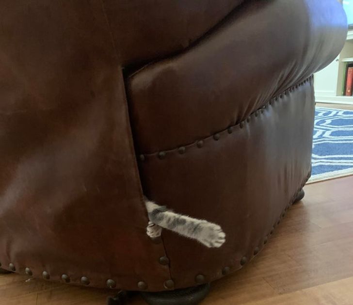 f4c14e549baead0fce1cd0c112