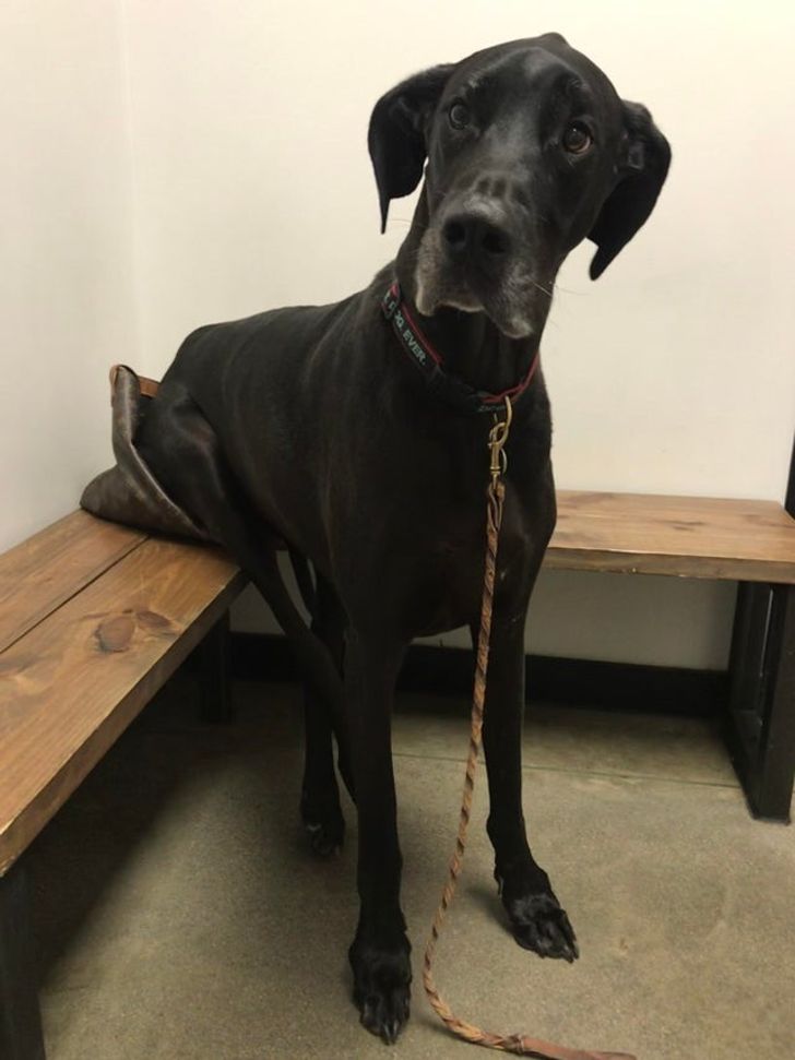 f4c4dd57ec941d7b9f08245aeb