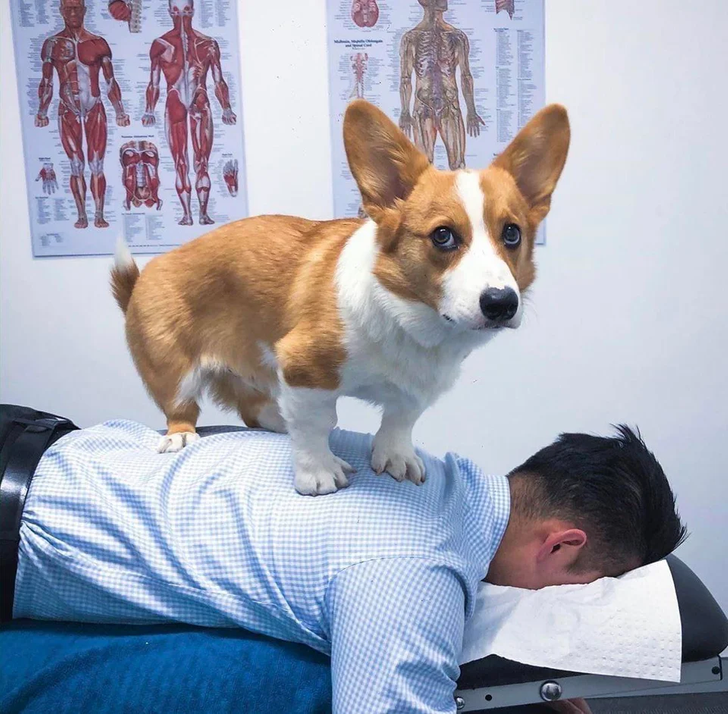 f4c65959db9b3487611901b695