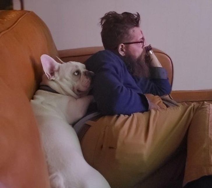 f4c8ea5fbb86918067c7180728